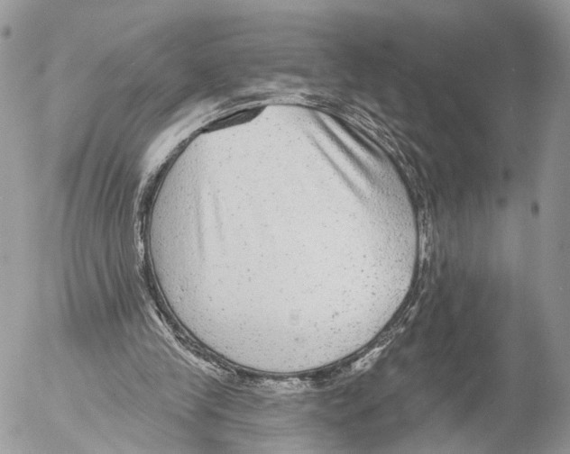 X0000053060245200508081201