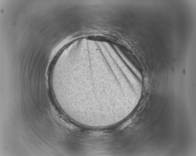 X0000053060246200508081201