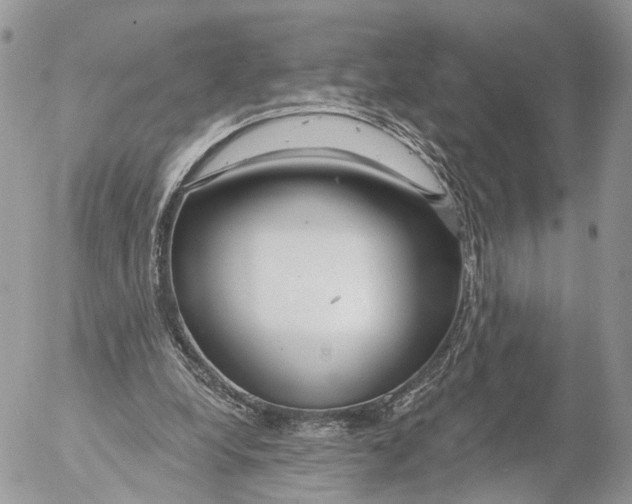 X0000053060248200508081201