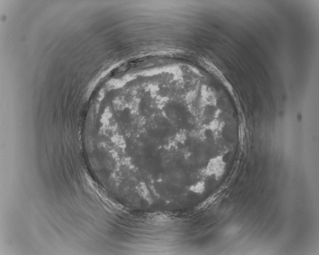 X0000053060249200508081201