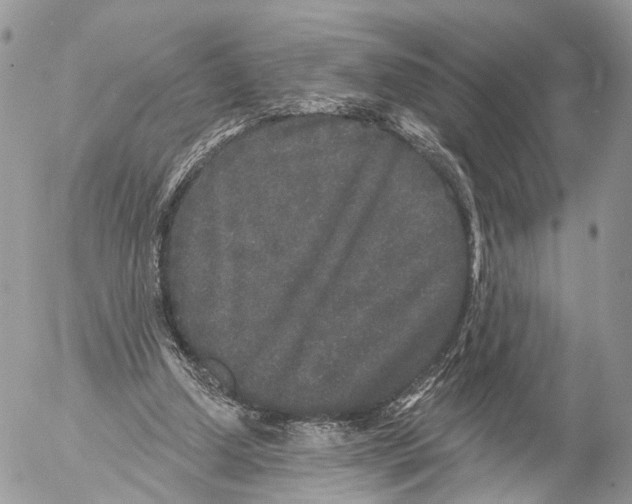 X0000053060250200508081201