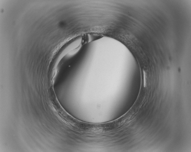 X0000053060252200508081201