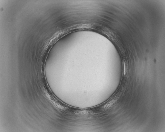 X0000053060253200508081201