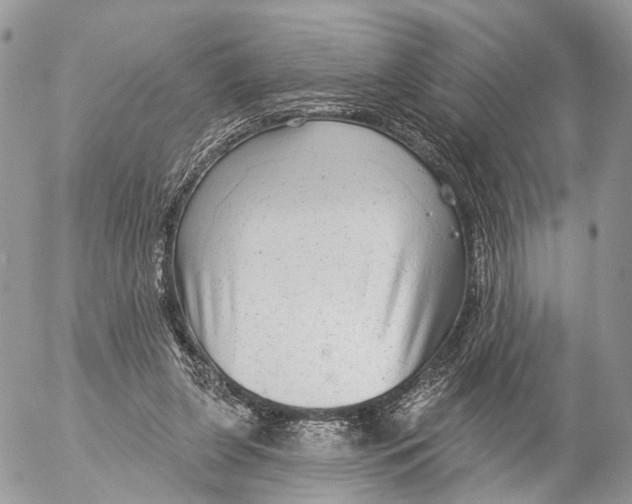 X0000053060255200508081201