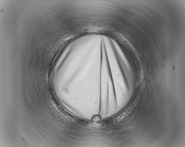 X0000053060257200508081201