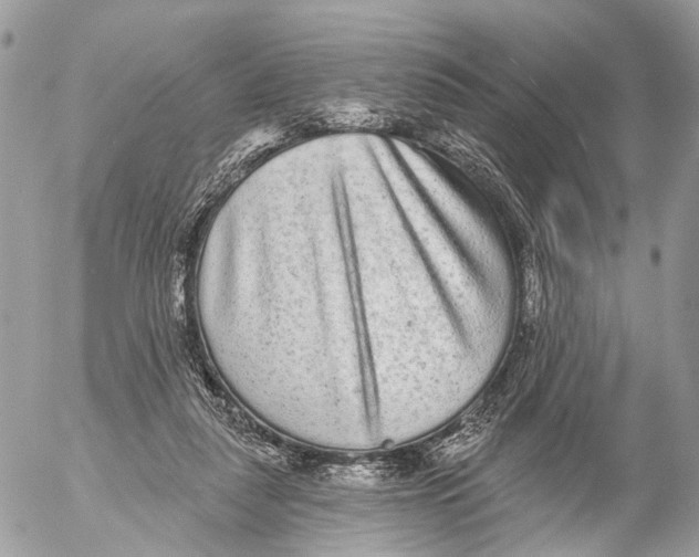 X0000053060259200508081201