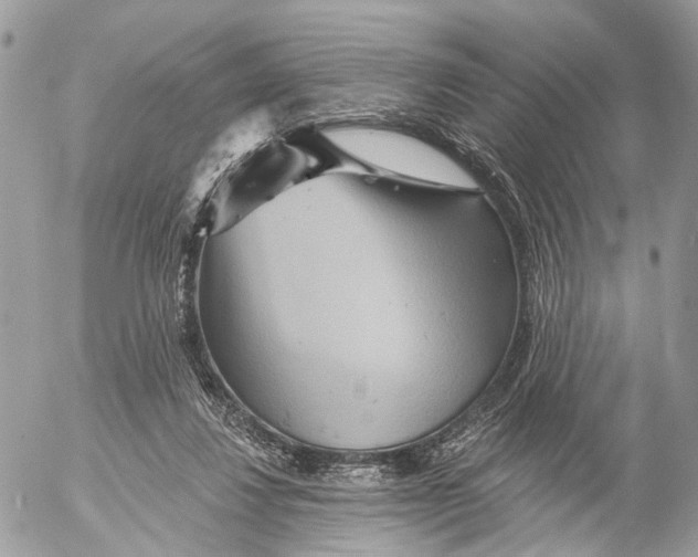 X0000053060260200508081201