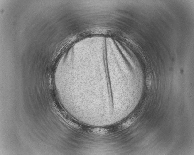 X0000053060261200508081201