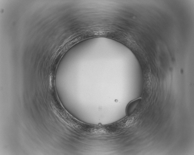 X0000053060262200508081201