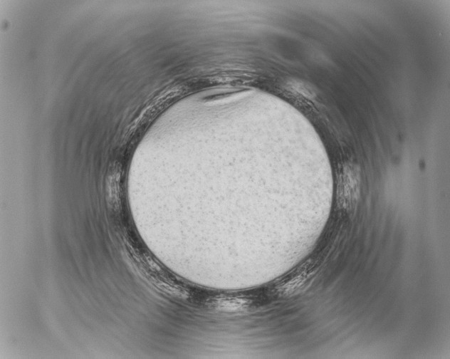 X0000053060263200508081201