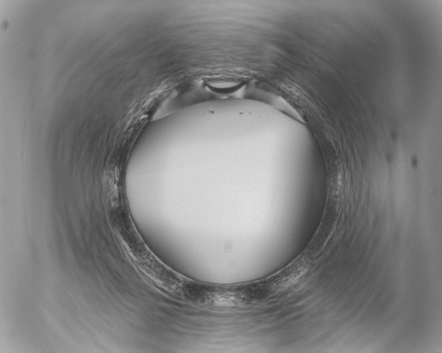 X0000053060264200508081201