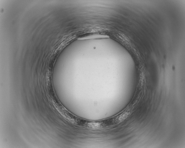 X0000053060265200508081201