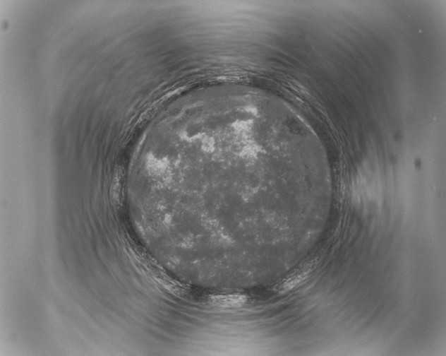 X0000053060266200508081201