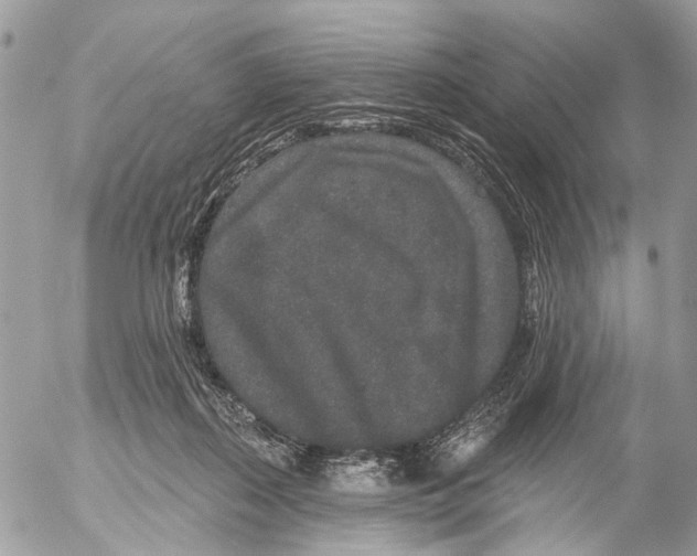 X0000053060267200508081201