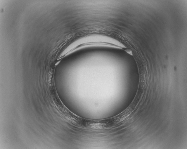 X0000053060268200508081202