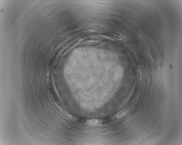 X0000053060269200508081202