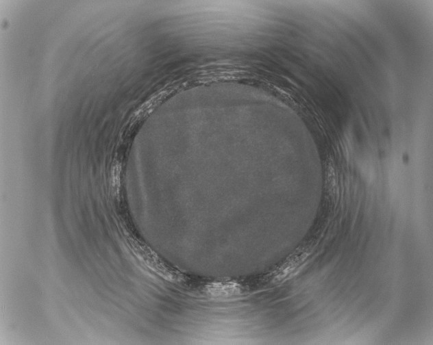 X0000053060271200508081202