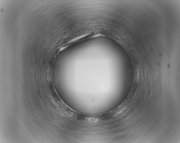 X0000053060272200508081202