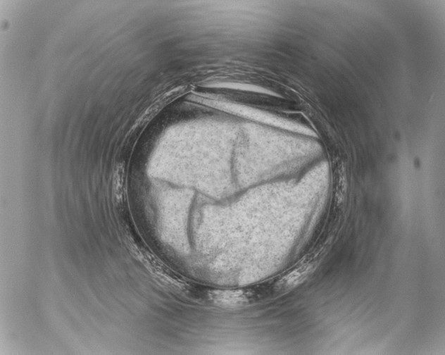 X0000053060273200508081202