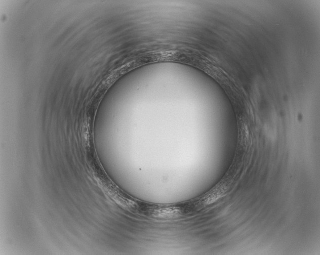 X0000053060274200508081202