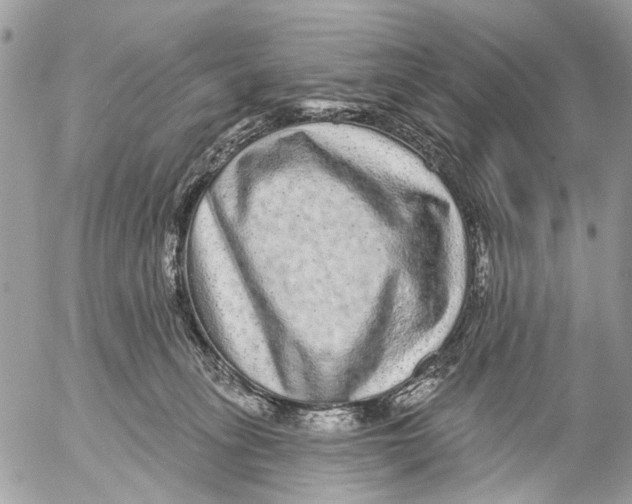 X0000053060275200508081202