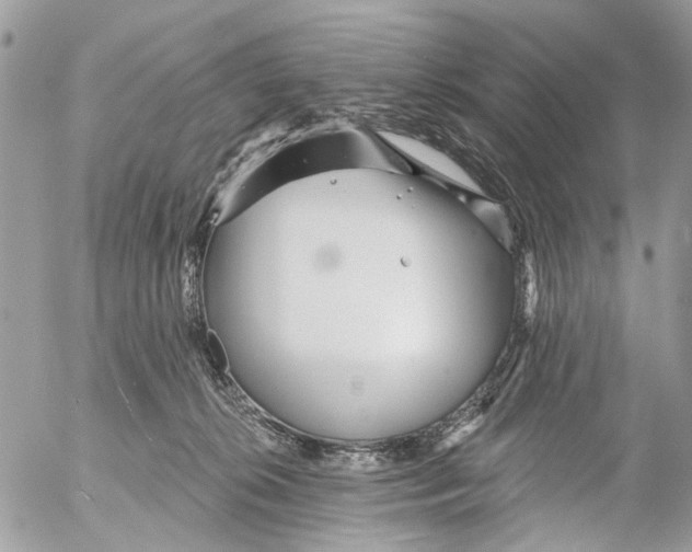 X0000053060276200508081202