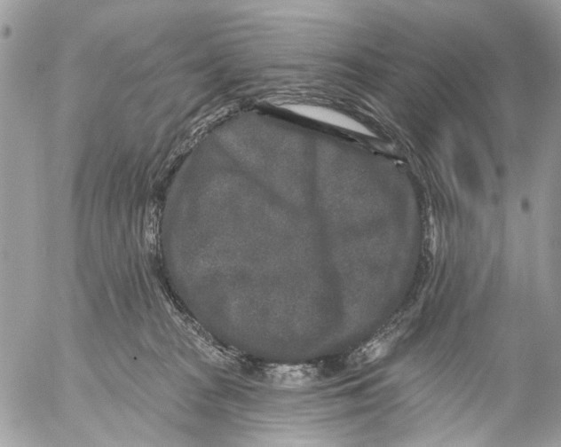 X0000053060277200508081202