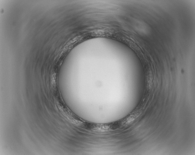 X0000053060278200508081202