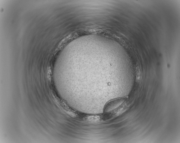 X0000053060279200508081202