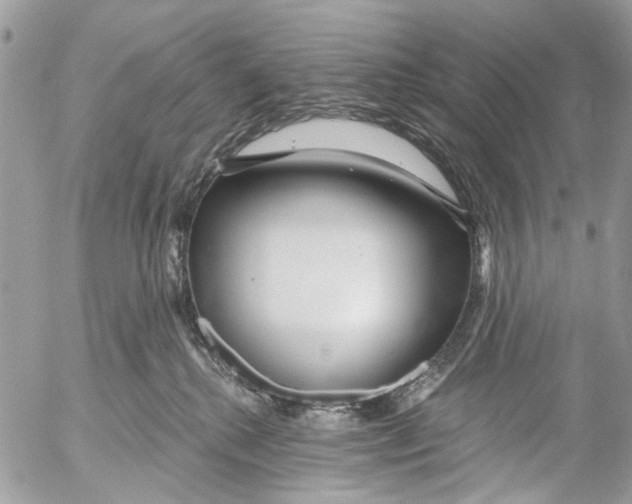 X0000053060280200508081202