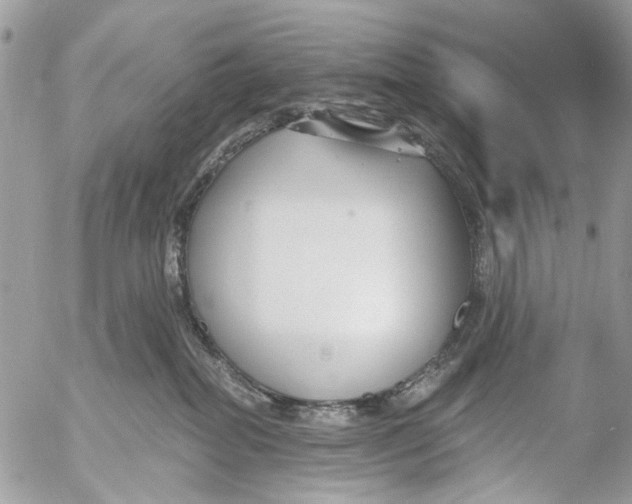 X0000053060282200508081202