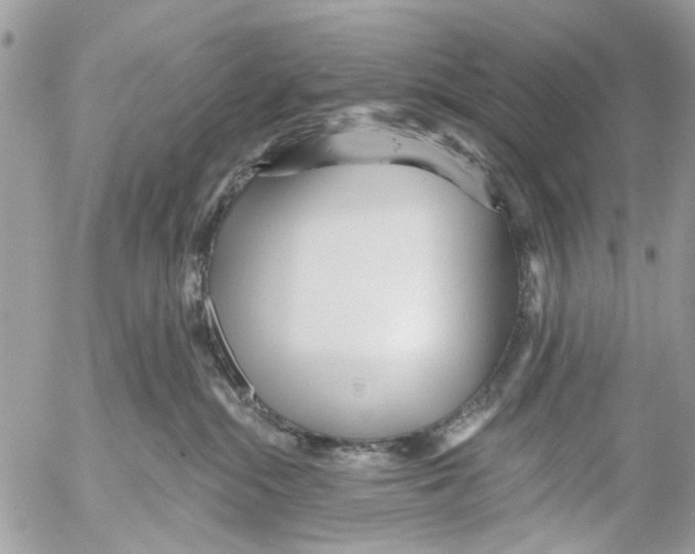 X0000053060284200508081202