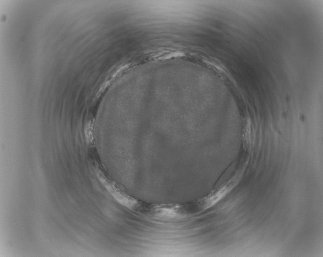 X0000053060285200508081202