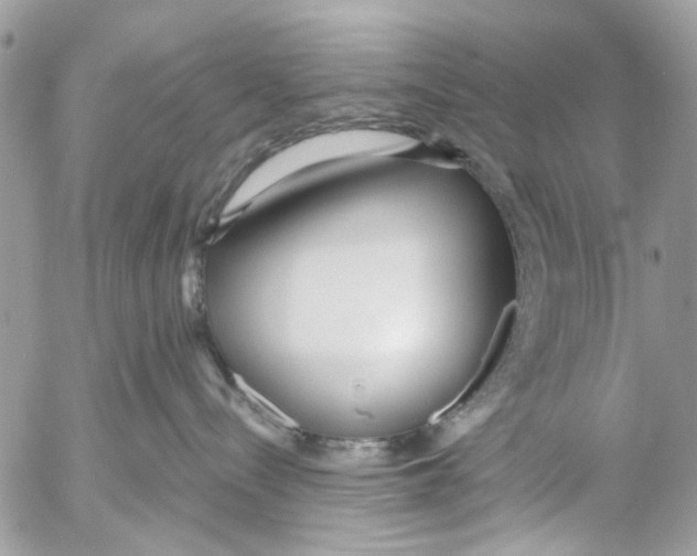 X0000053060288200508081202