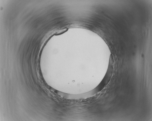 X0000053060289200508081201