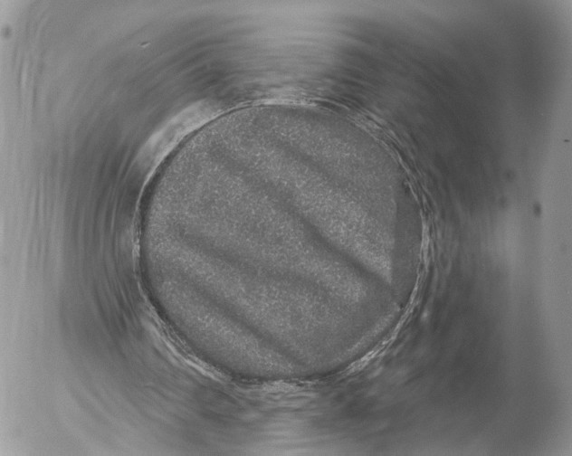 X0000053060290200508081201