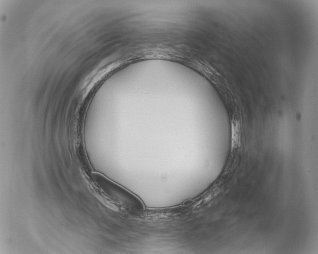 X0000053060291200508081201