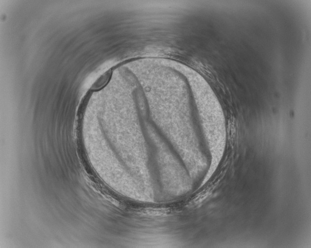 X0000053060292200508081201