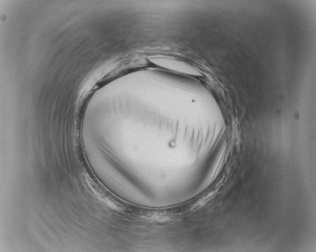 X0000053060293200508081201