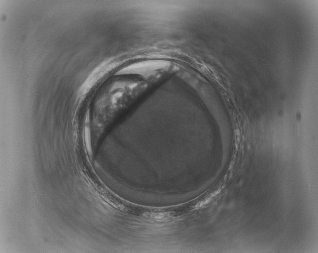 X0000053060295200508081201