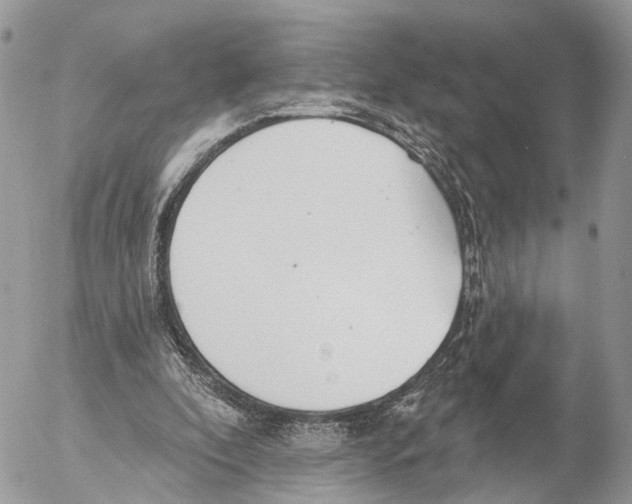 X0000053060296200508081201