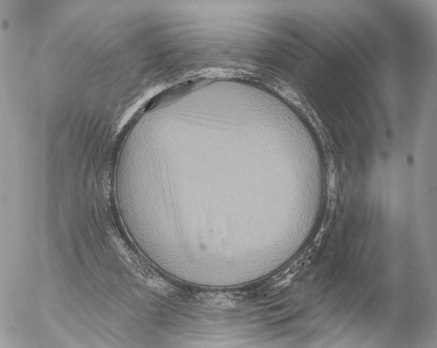 X0000053060297200508081201