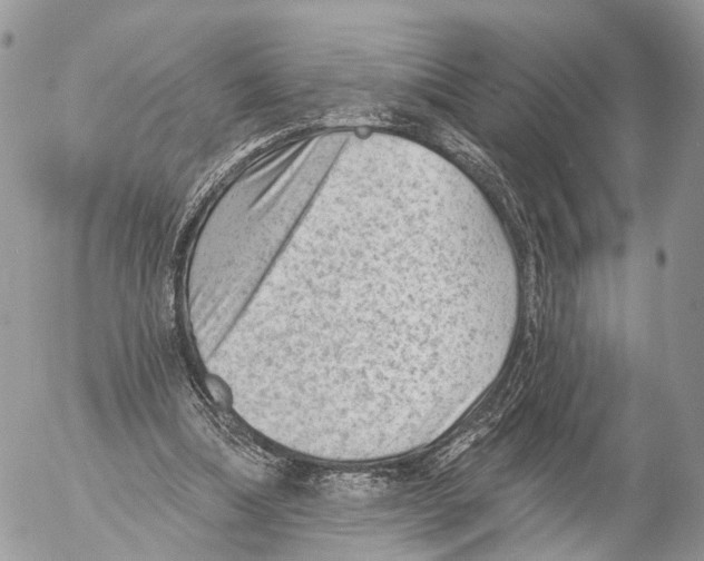 X0000053060298200508081201