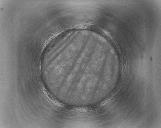 X0000053060299200508081201