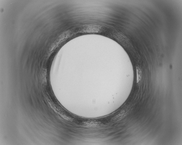 X0000053060300200508081201