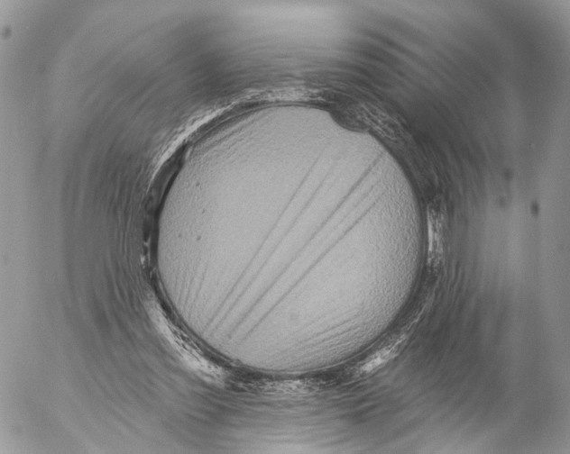 X0000053060301200508081201