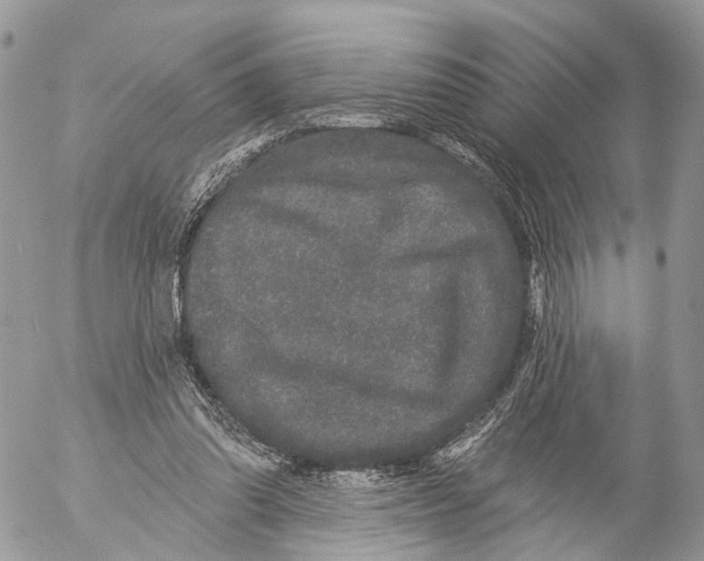 X0000053060302200508081201