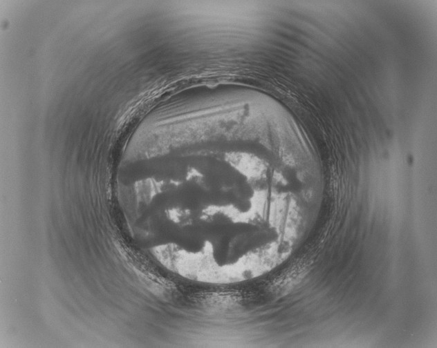 X0000053060303200508081201