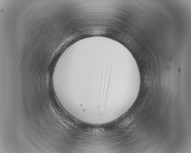 X0000053060304200508081201