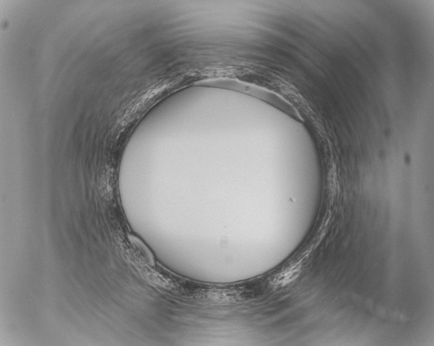 X0000053060305200508081201